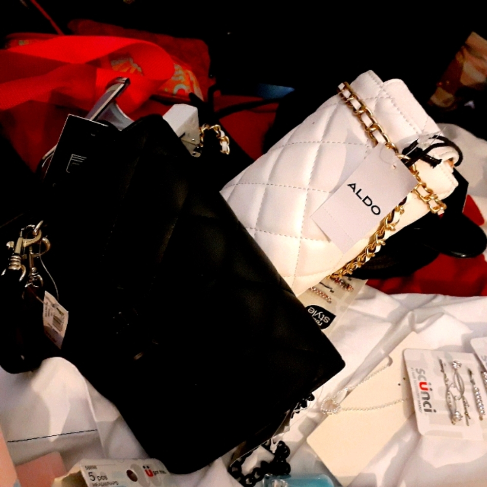 Aldo bag and a banana republic purse